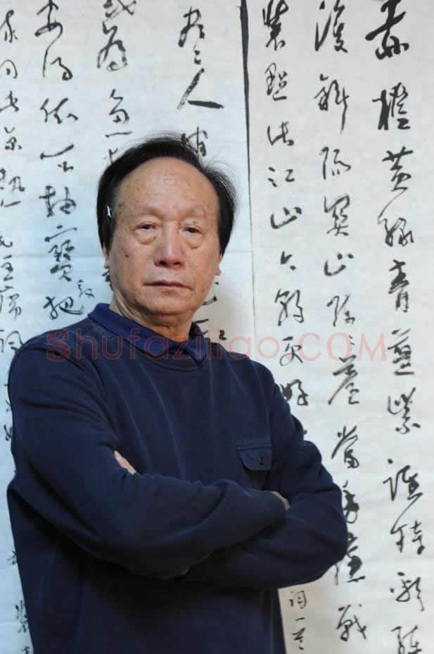 裴剑华·画像·照片