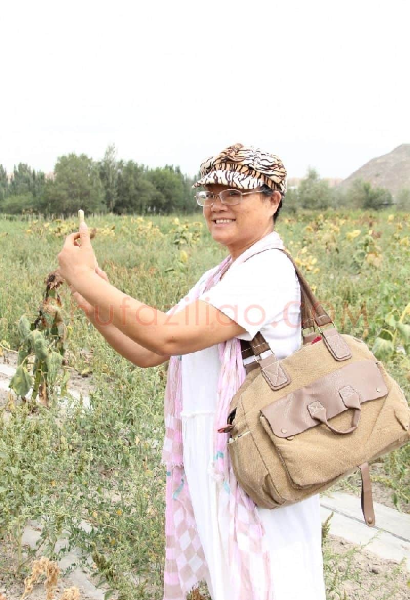 杨晓康·画家