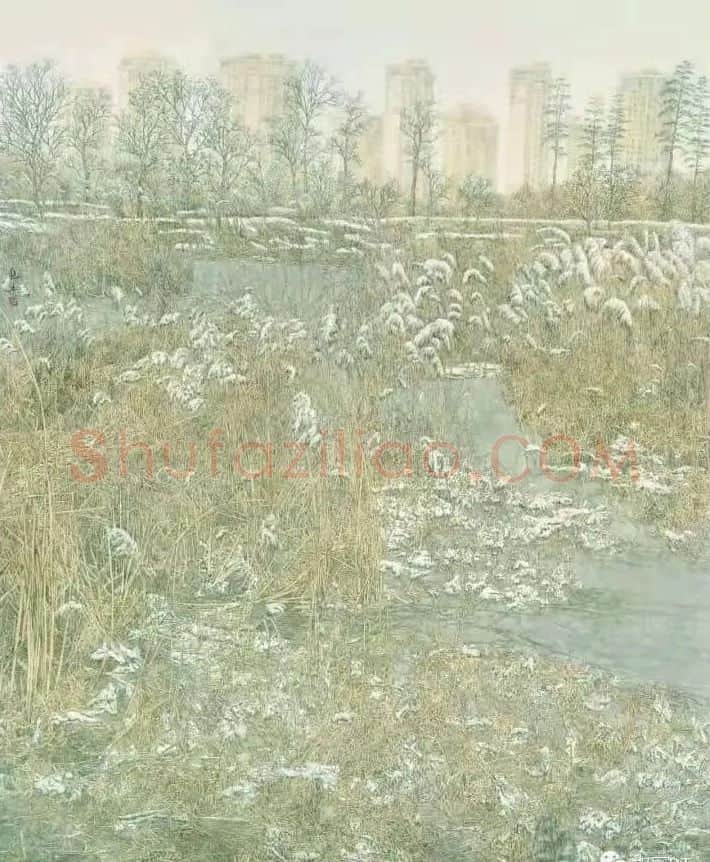 童艳杰·芦花雪