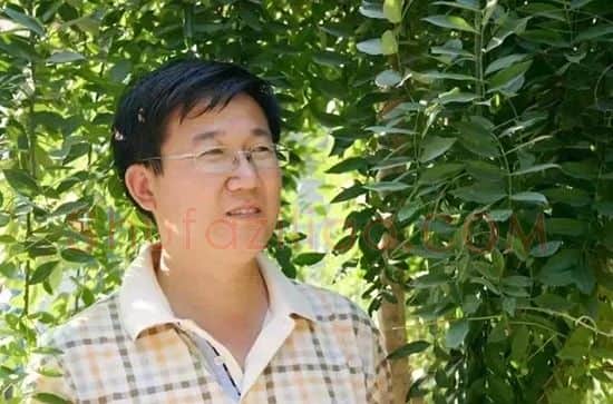 张志久·画像·照片