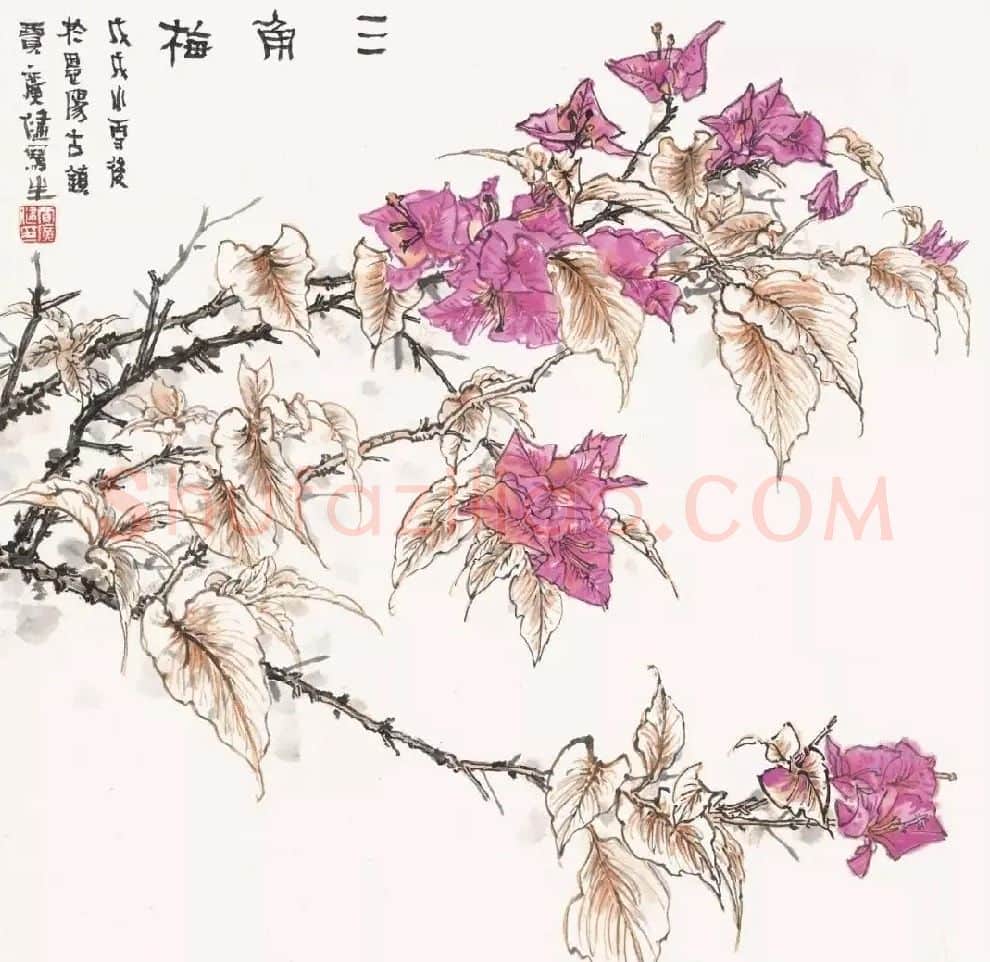 贾广健·《三角梅》
