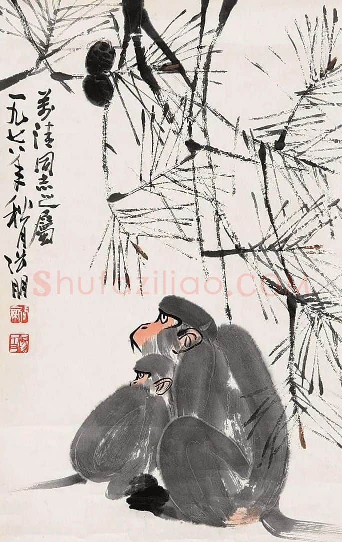 张朋·猴