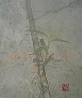张建超·《生存》
