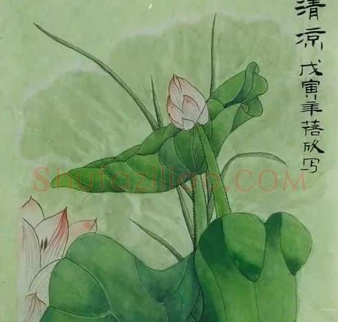 赵蓓欣·清凉