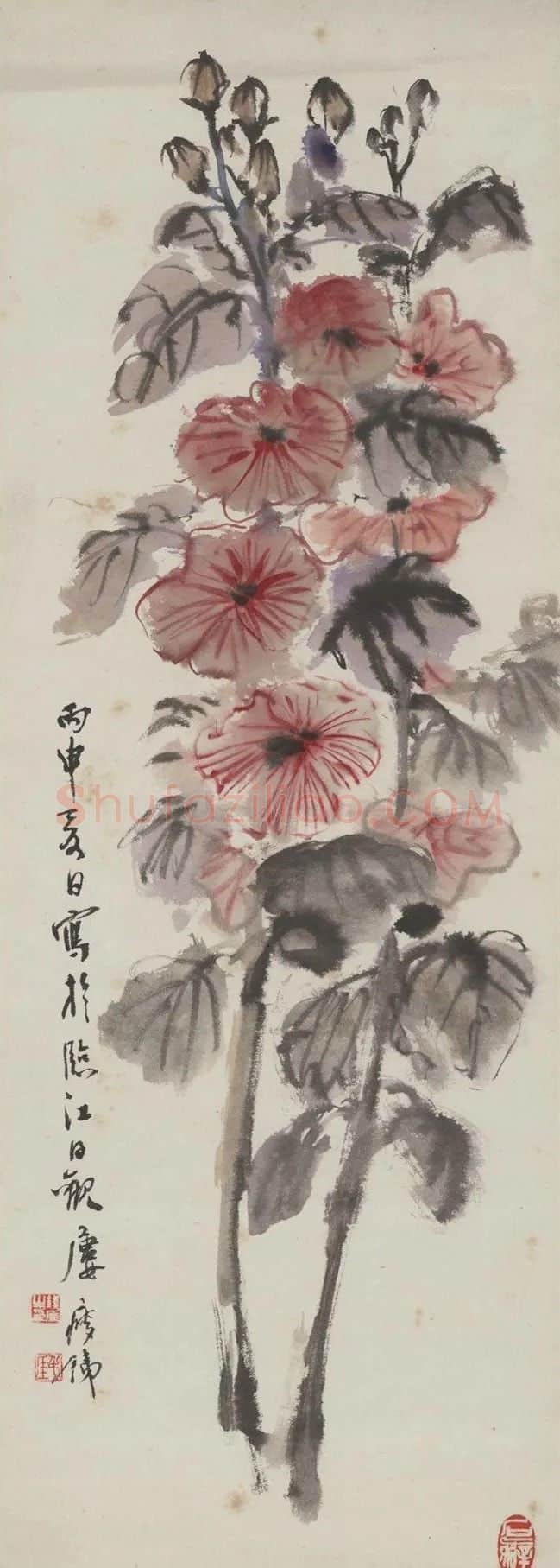 钱瘦铁·秋葵
