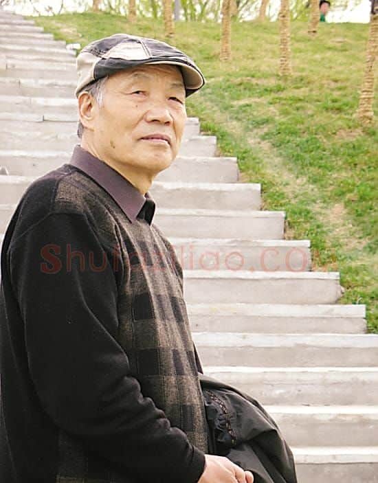 齐辛民