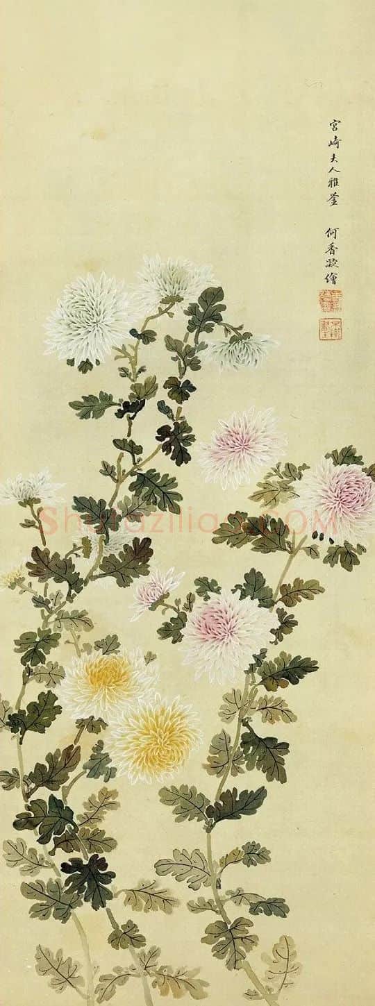 何香凝·菊