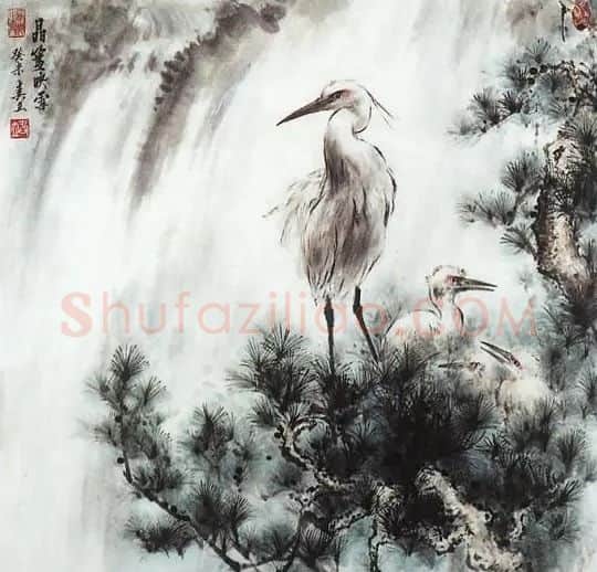 王春立·映雪