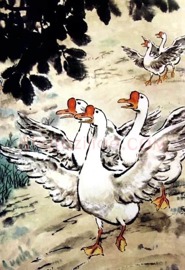 徐悲鸿·家鹅