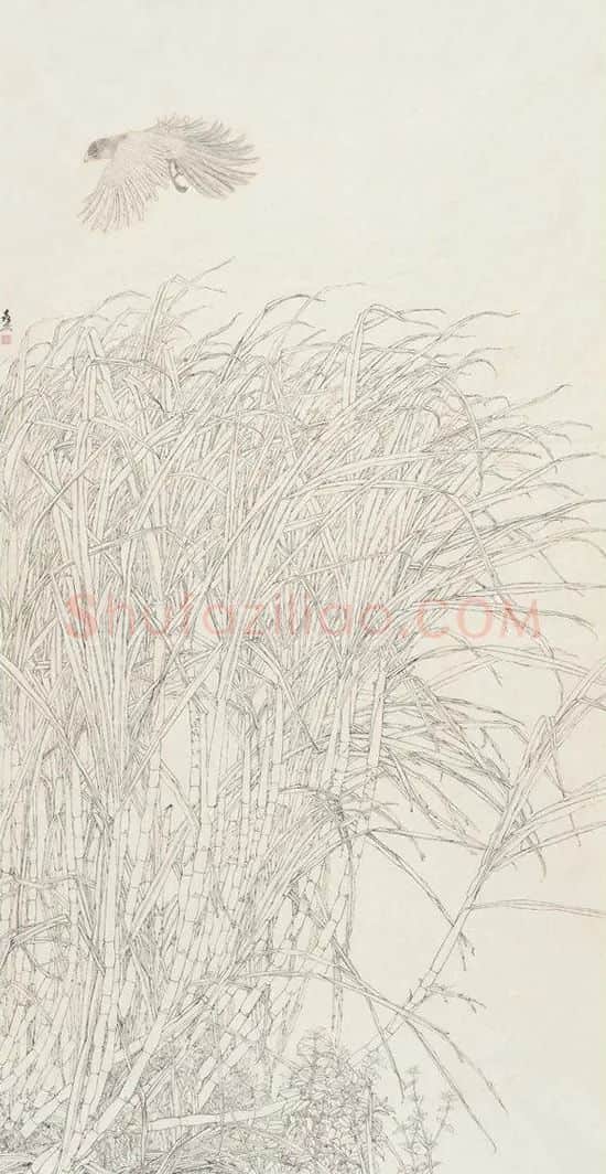 涂喜宗·蔗树鸦鹃飞