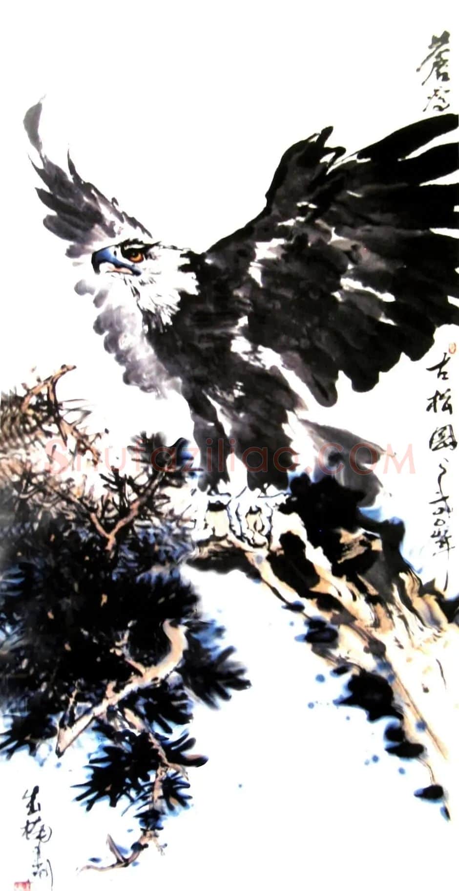 姜成楠·苍鹰古松