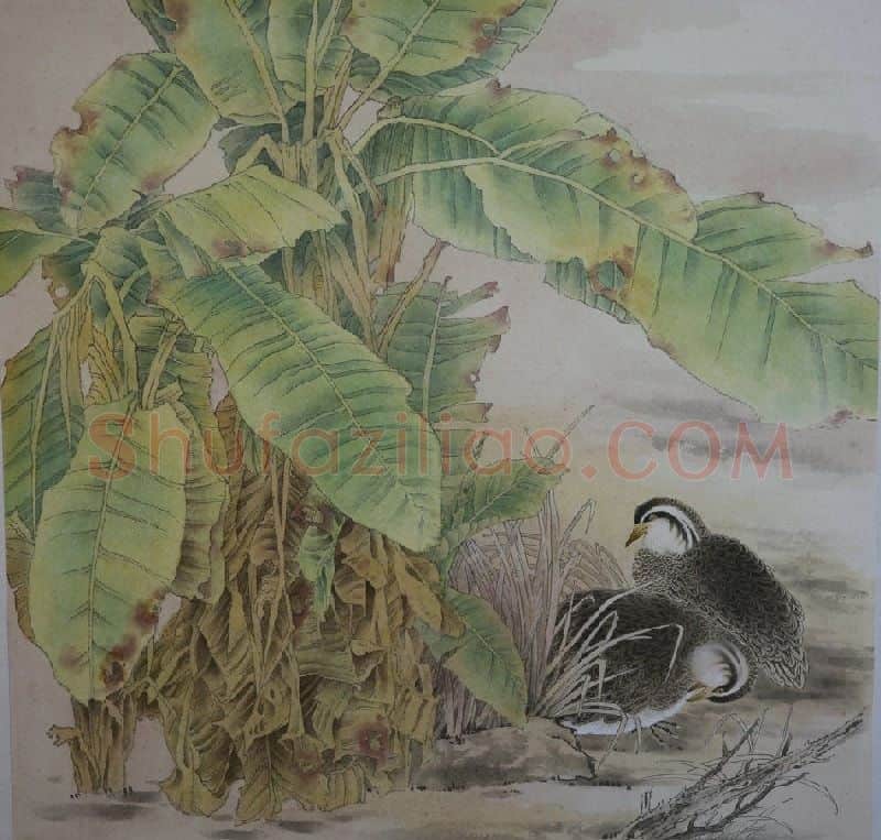 张丽萍·作品欣赏