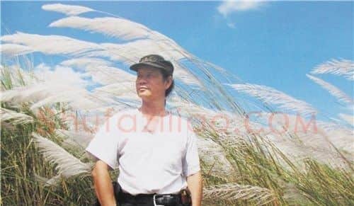 王韶悌·画像·照片