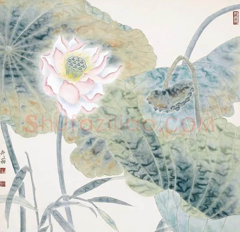 杨卉茹·荷花之五