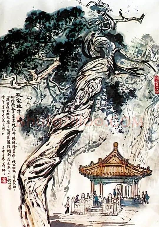 聂耕·孔宅故井