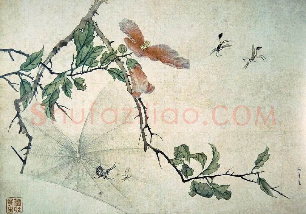 范金镛·《蜘蛛木槿》