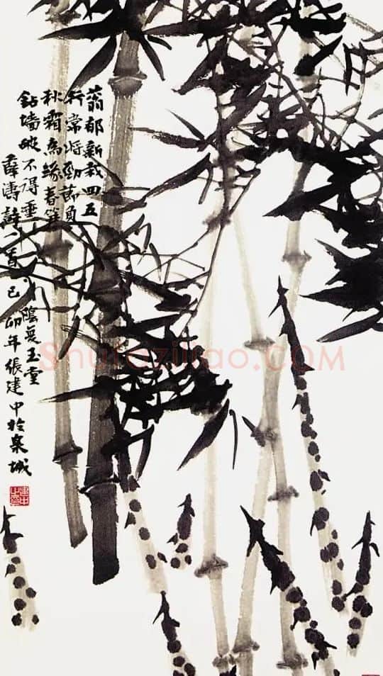 张建中·雨后