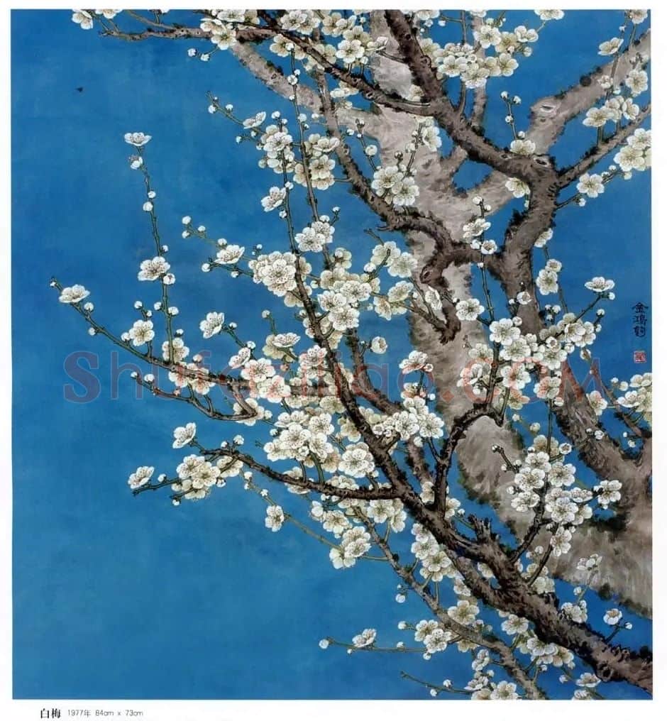 金鸿钧·白梅