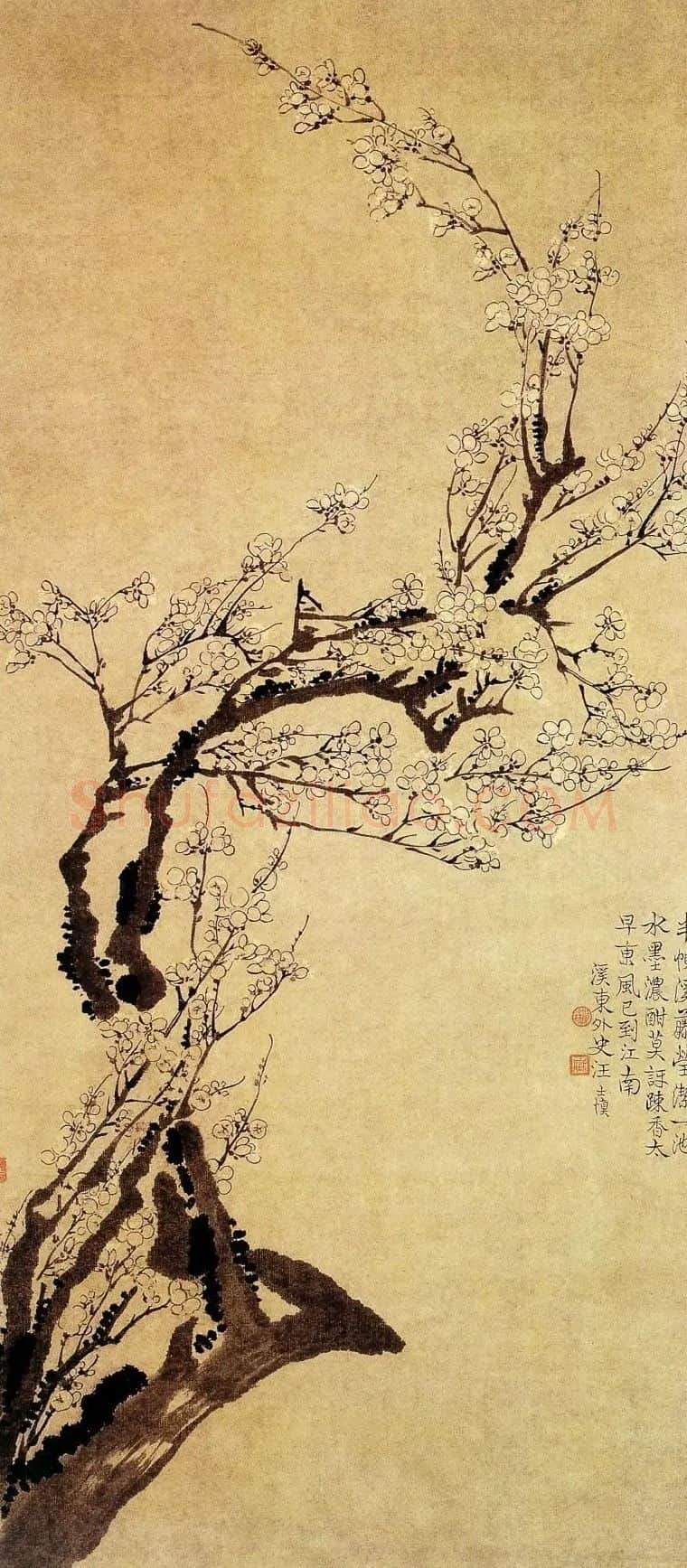 汪士慎·梅花图