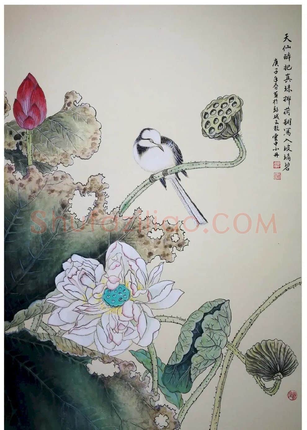 云中小丹·古典花鸟
