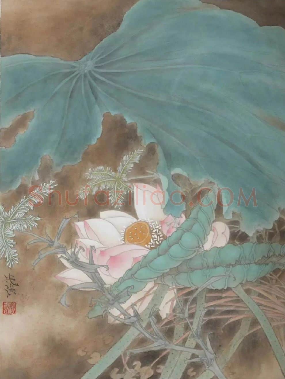 张光强·张光强作品