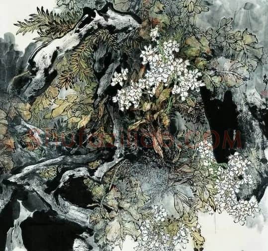 吉瑞森·春风乍起