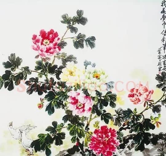 冯运榆·花鸟