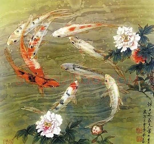 陈义水·锦上添花