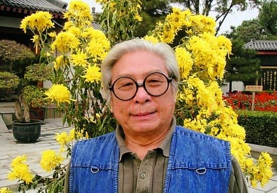 魏峰·画像·照片