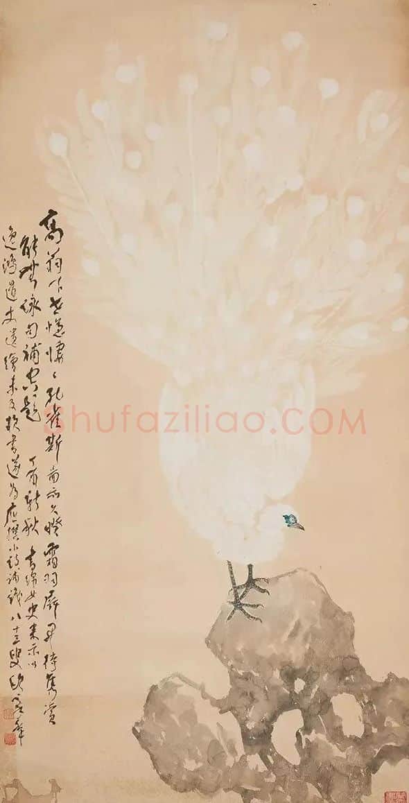 高逸鸿·白孔雀