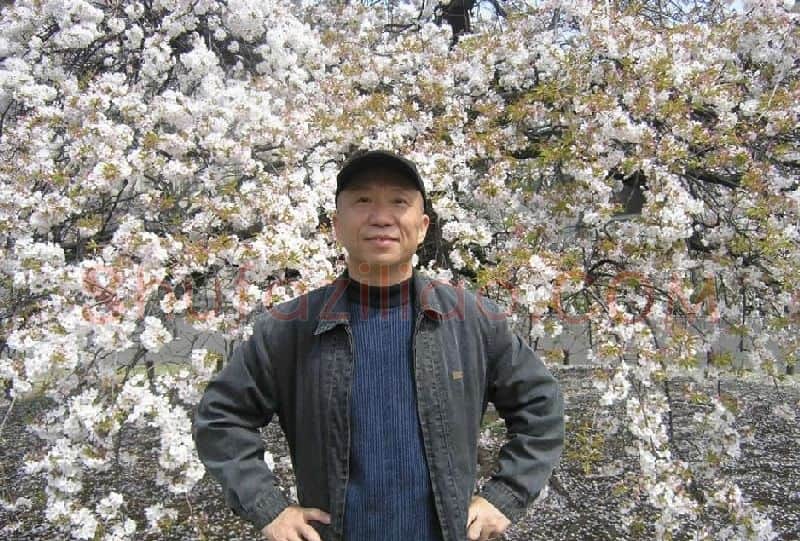 王辉·画像·照片