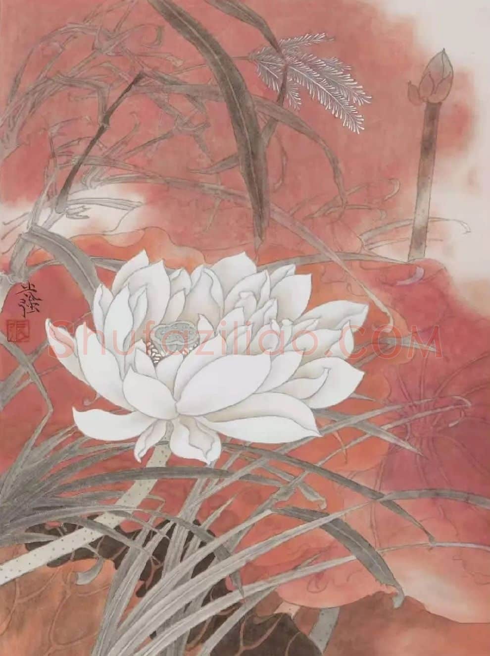 张光强·张光强作品