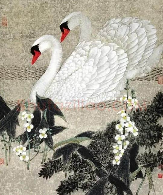 吴冰·白天鹅