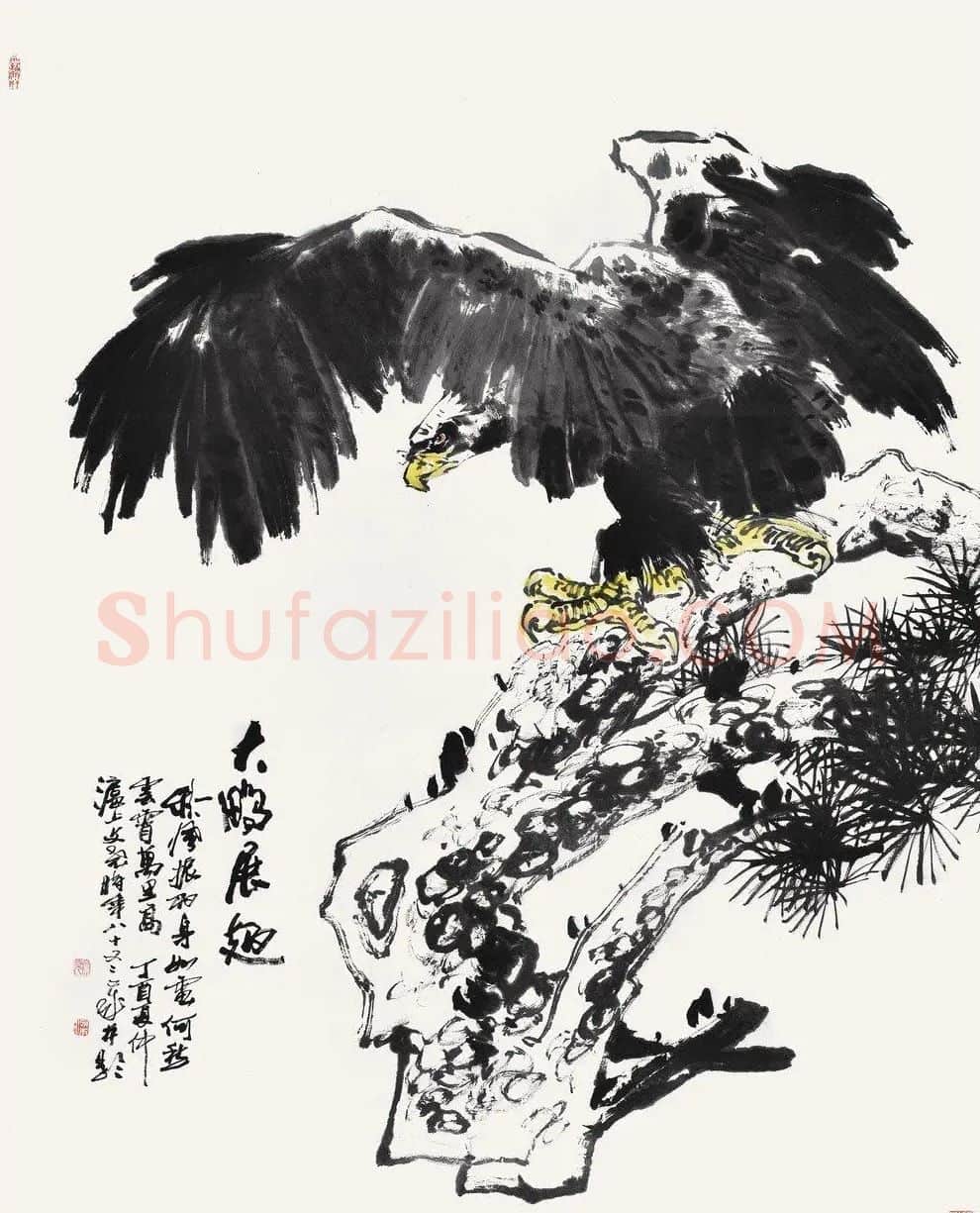 梁文尧·大鹏展翅
