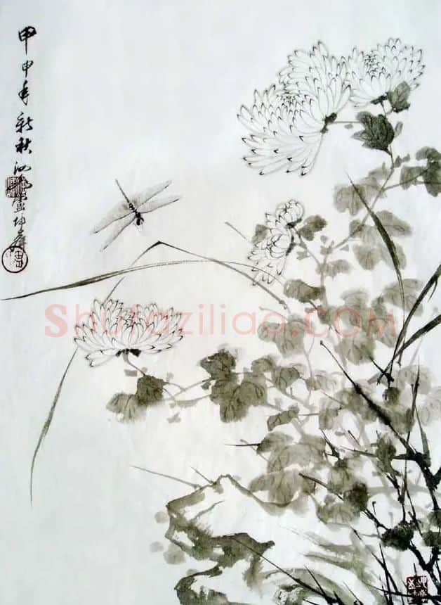 卢坤峰·菊蝶