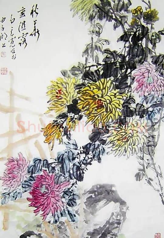 马其宽·秋华