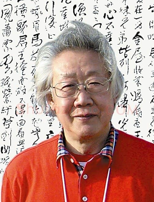 张泽民·画像·照片
