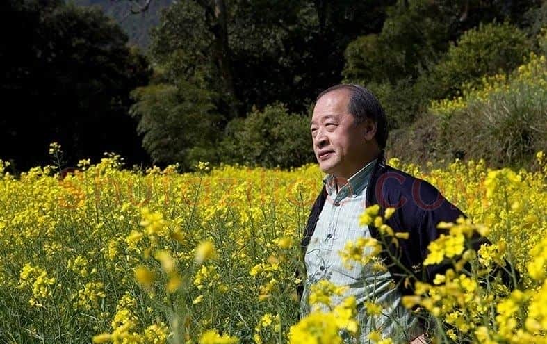 王书平·王书平