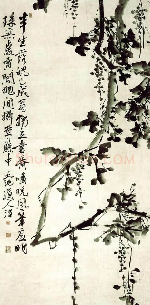 徐渭·墨葡萄图