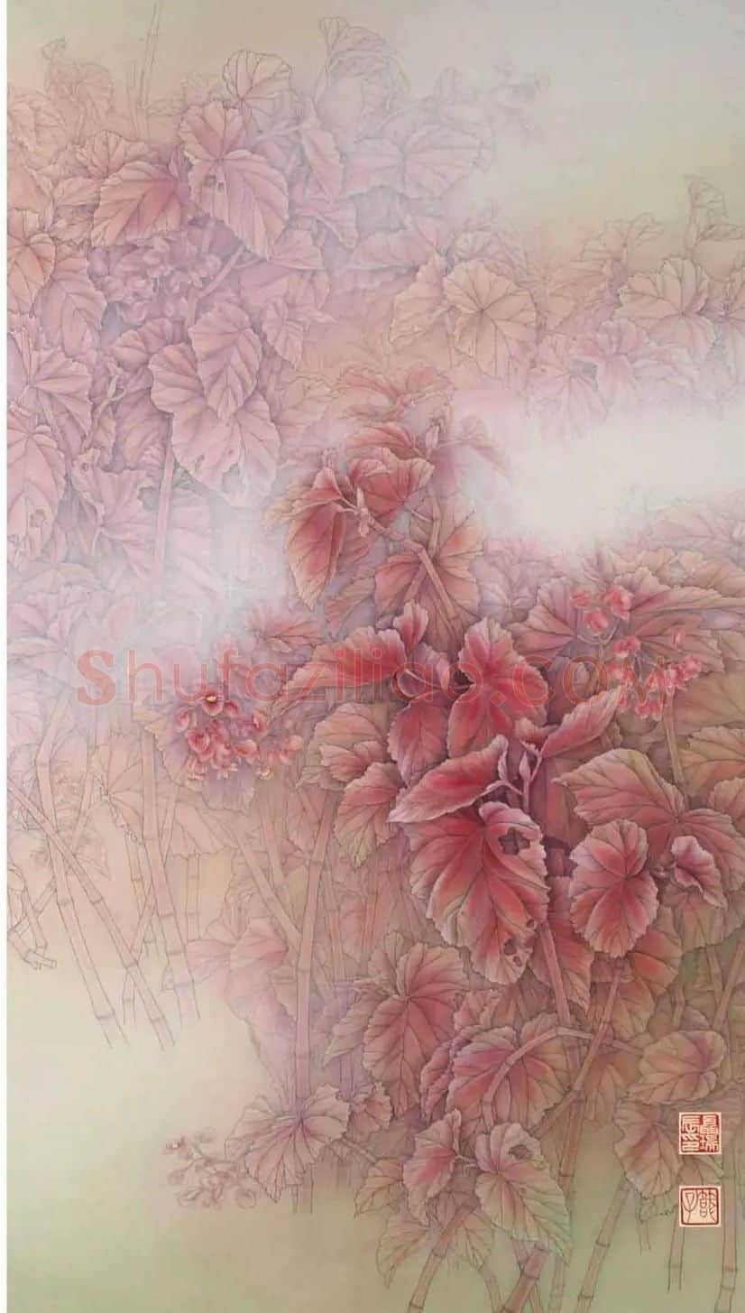 聂瑞辰·竹节海棠