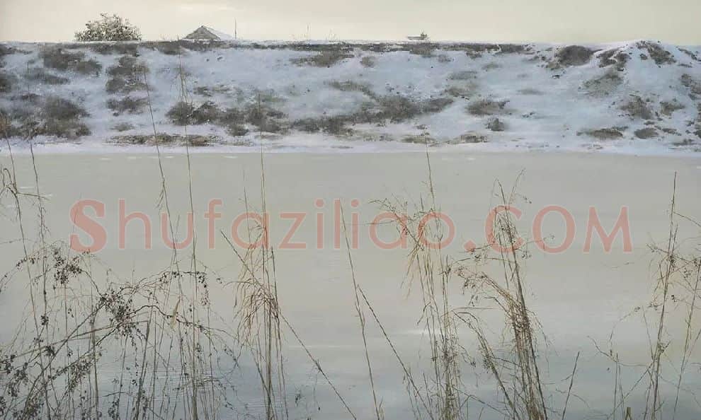 胡大虎·晓雪