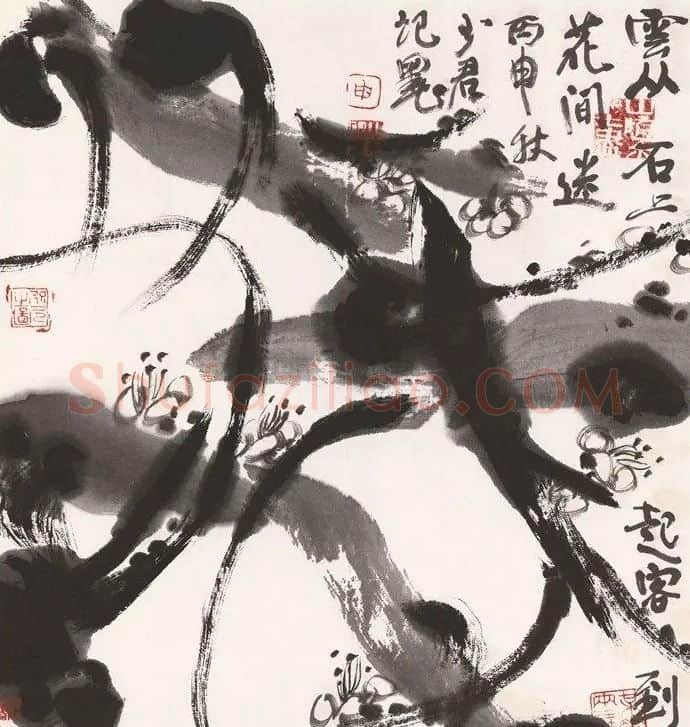 申少君·云从石上起