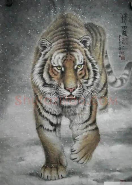 王贵邱·虎