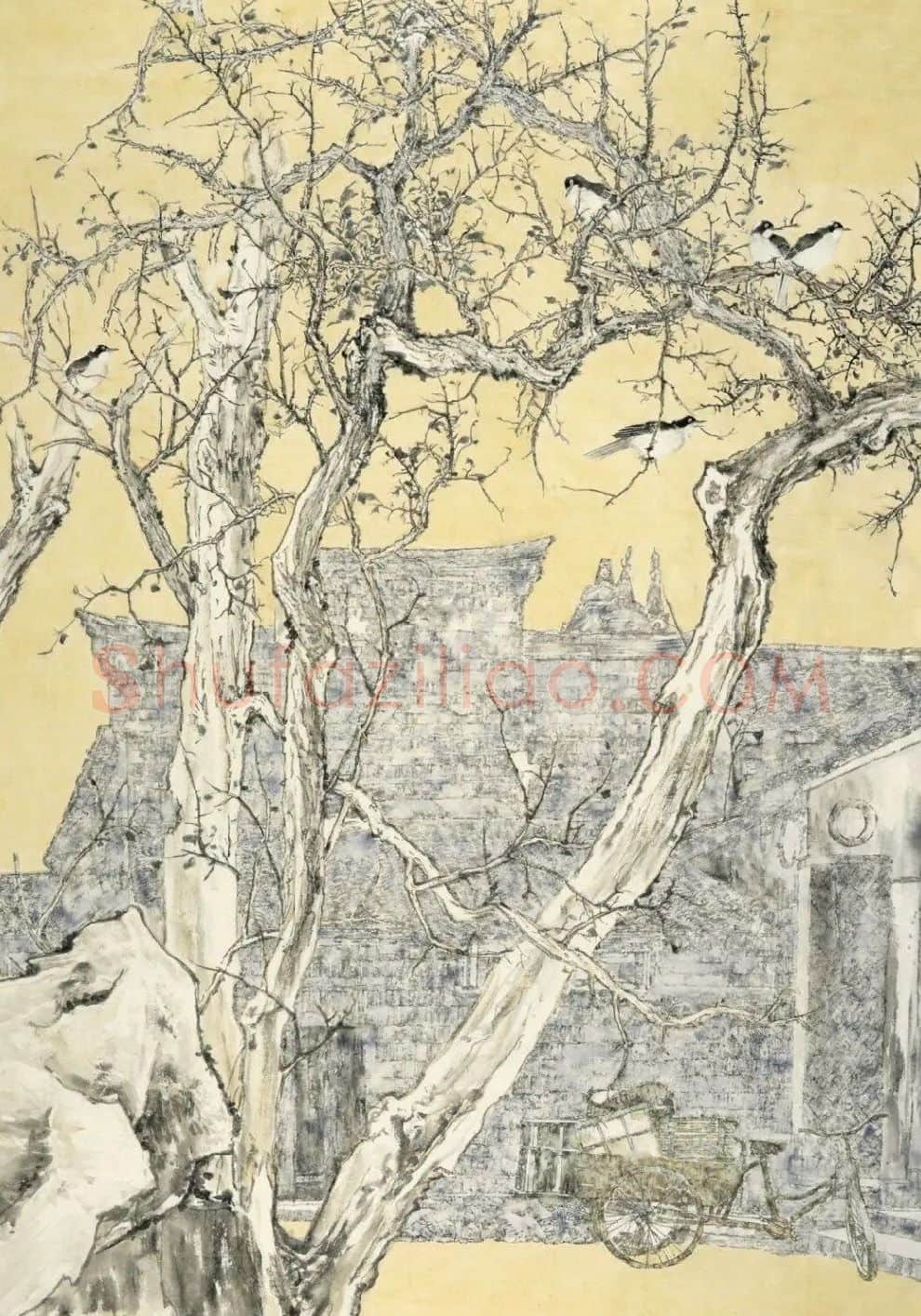 马晓洁·晨