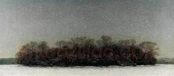 白小华·瑞雪祥琪