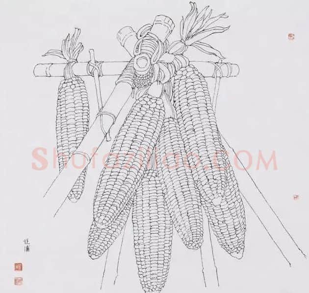 杨悦浦·富家山里有远亲