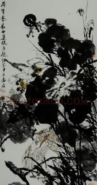 乔森·荷背风翻白