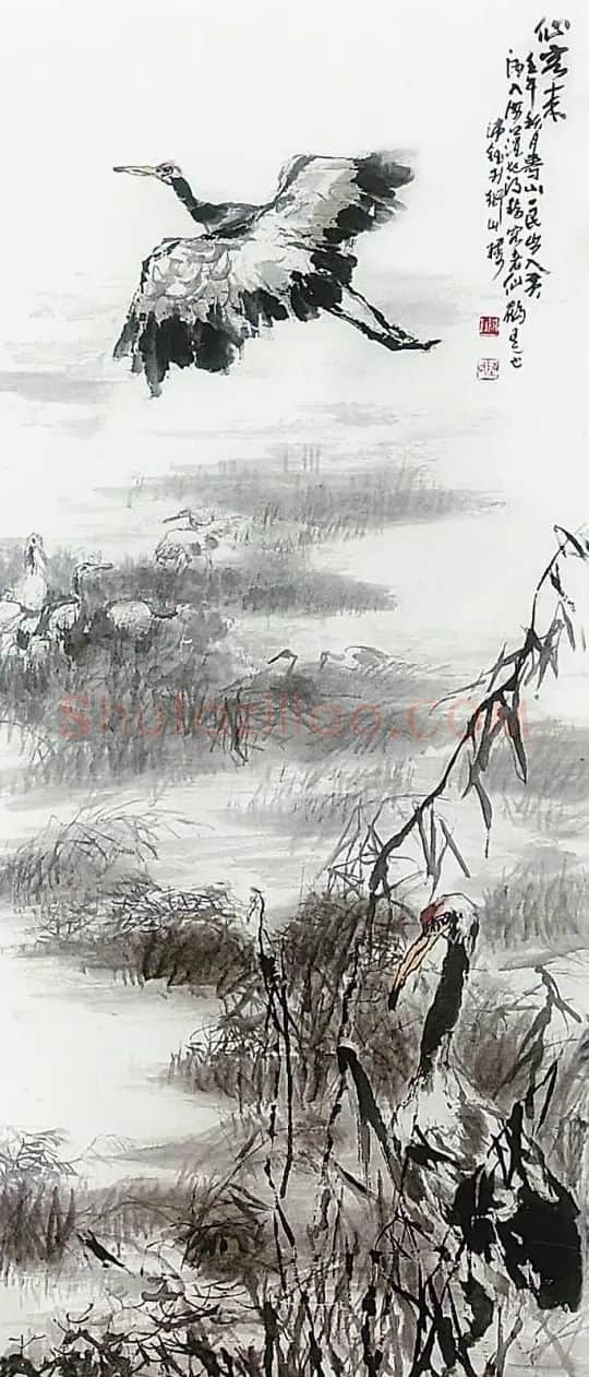 陈沛钰·仙客来