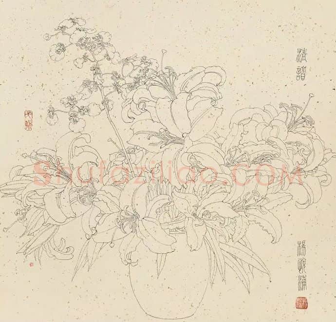 杨悦浦·作品