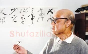 王颂余·画像·照片